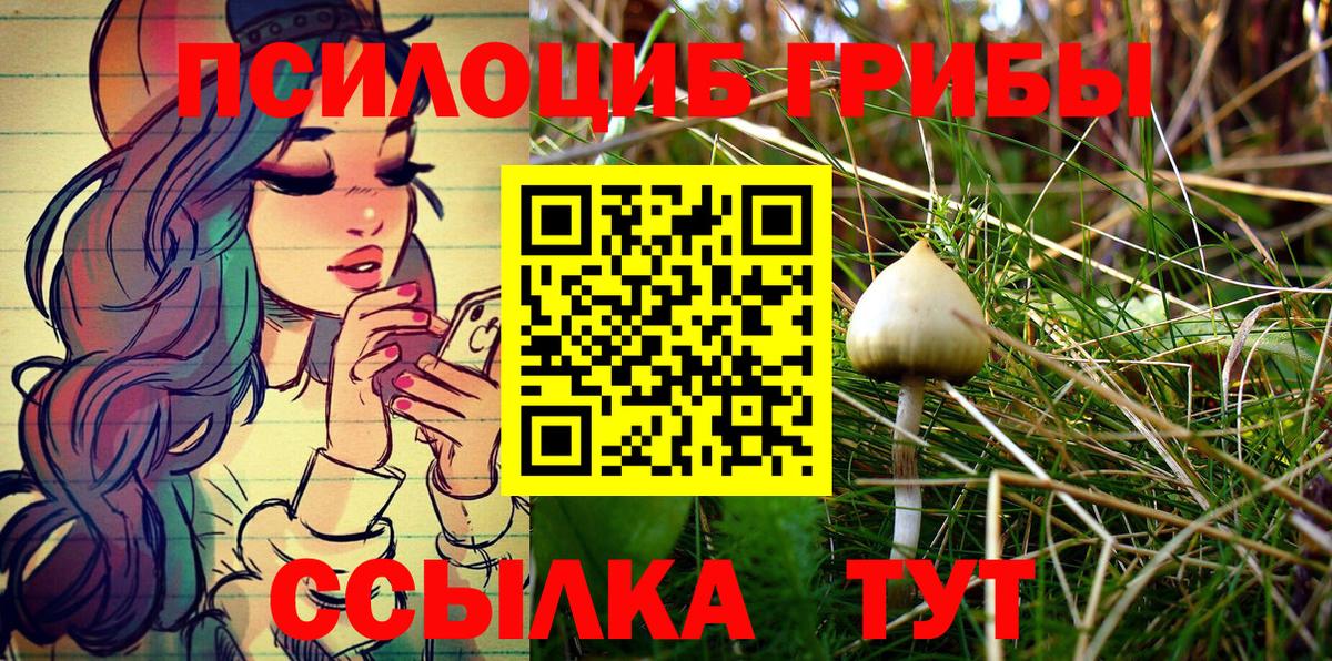Алексин  Галлюциногенные грибы мицелий  Вход с VPN 