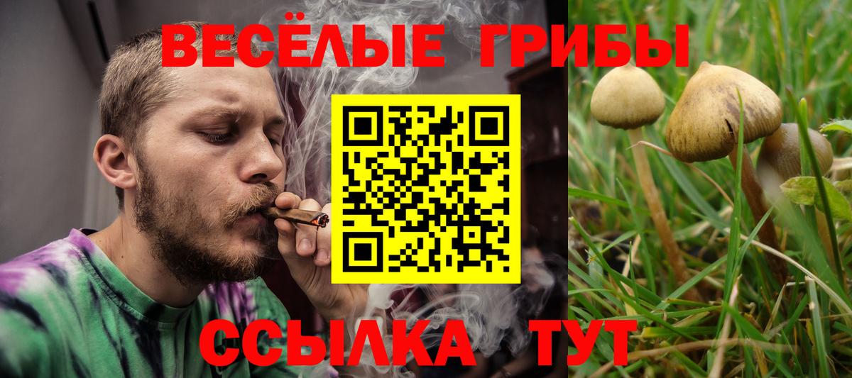 Галлюциногенные грибы GOLDEN TEACHER Алексин